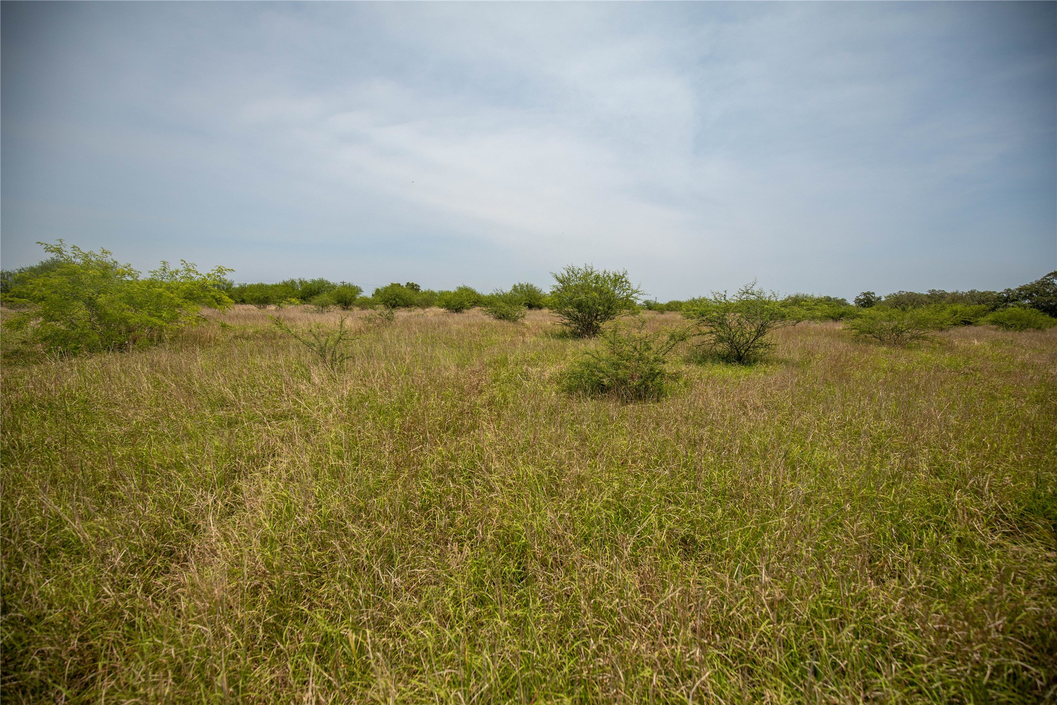 0 Green Dewitt Road Cuero, TX 77954 - Photo 15 of 40