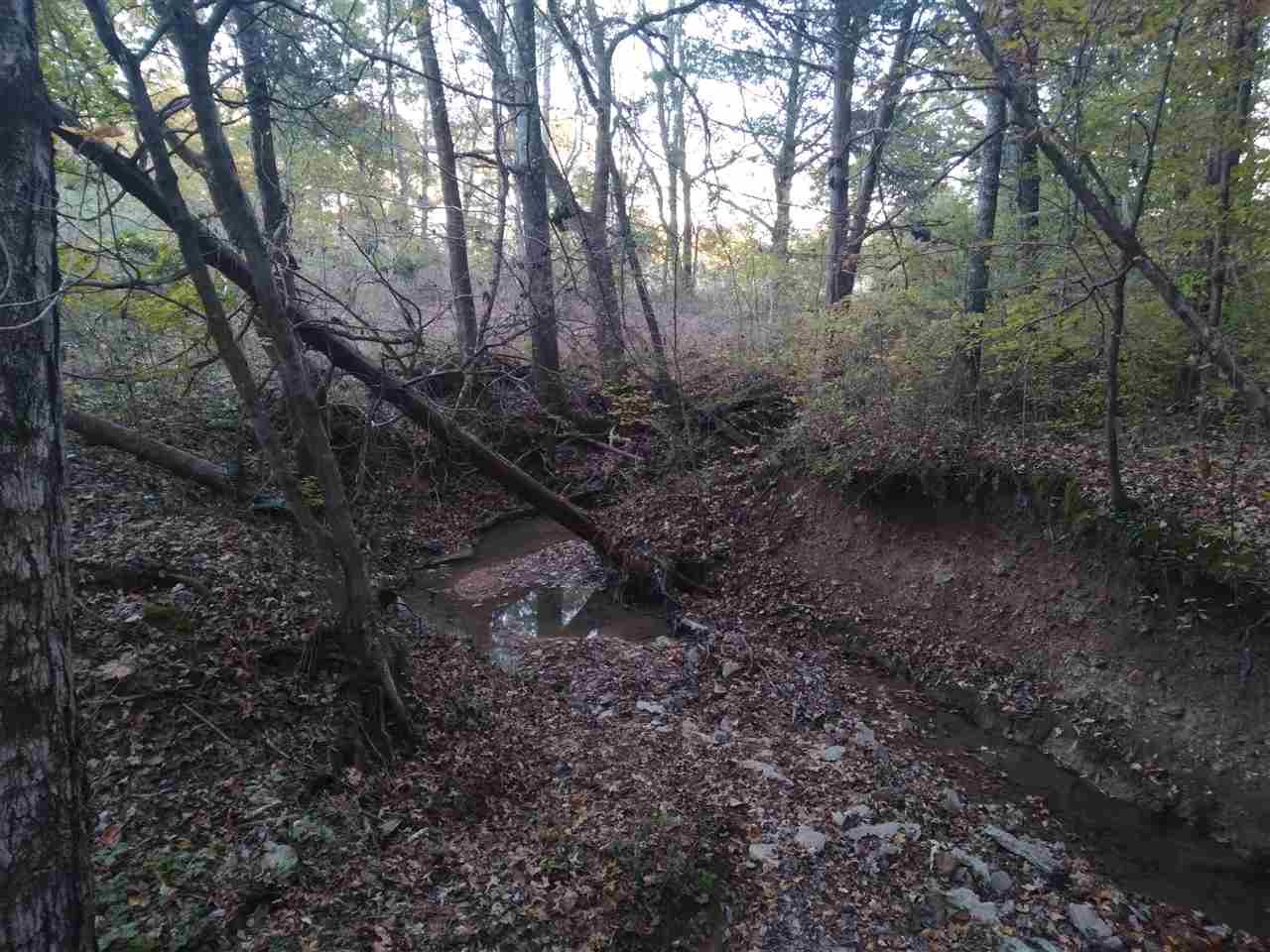 0 Ross Creek Road Waynesboro, TN 38485 - Photo 13 of 15 Gallery Image 13
