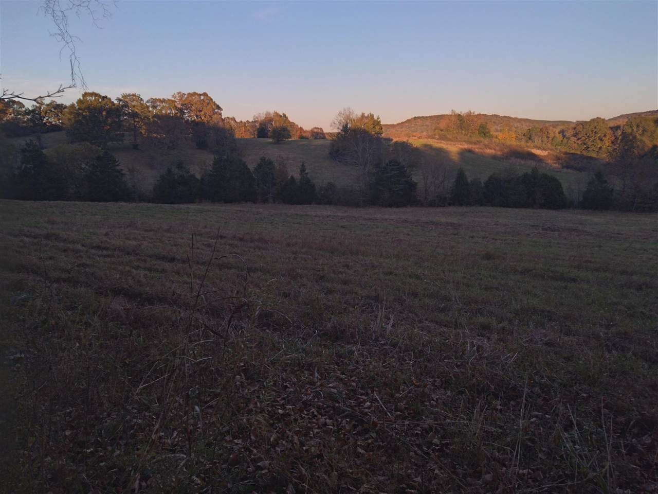 0 Ross Creek Road Waynesboro, TN 38485 - Photo 8 of 15 Gallery Image 8