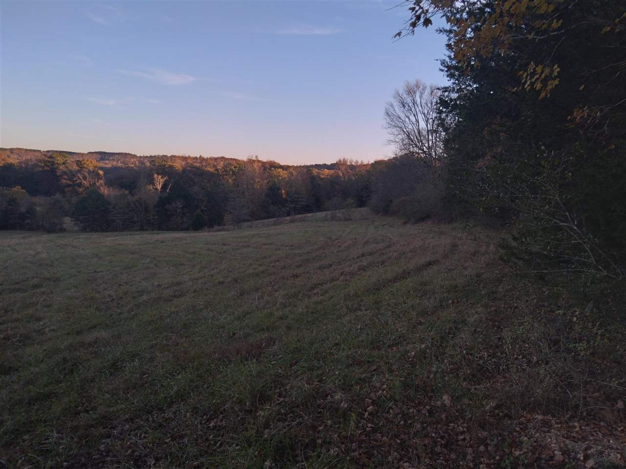 0 Ross Creek Road Waynesboro, TN 38485 - Photo 10 of 15 Gallery Image 10