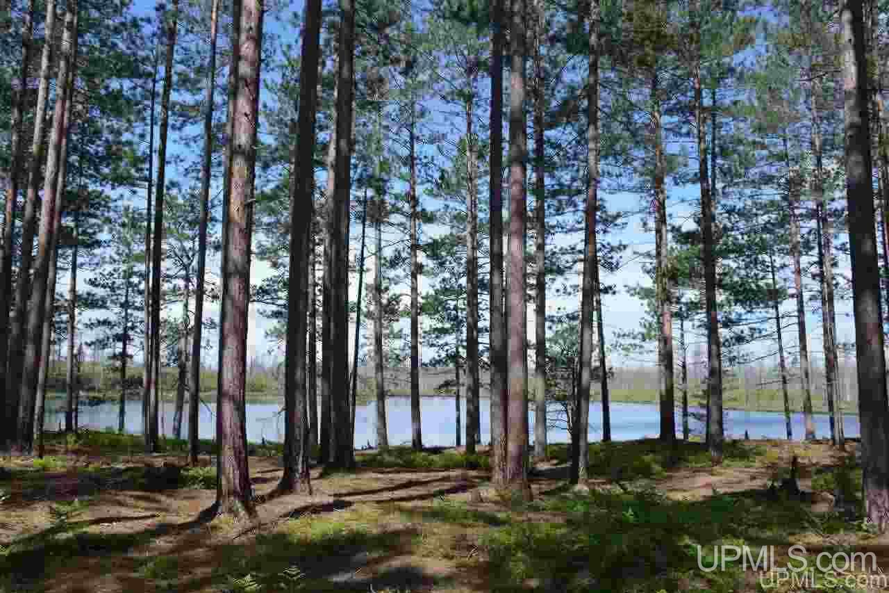 0 Off Co Road, Unit LITTLE PIKE LAKE Newberry, MI 49868 - Photo 8 of 11