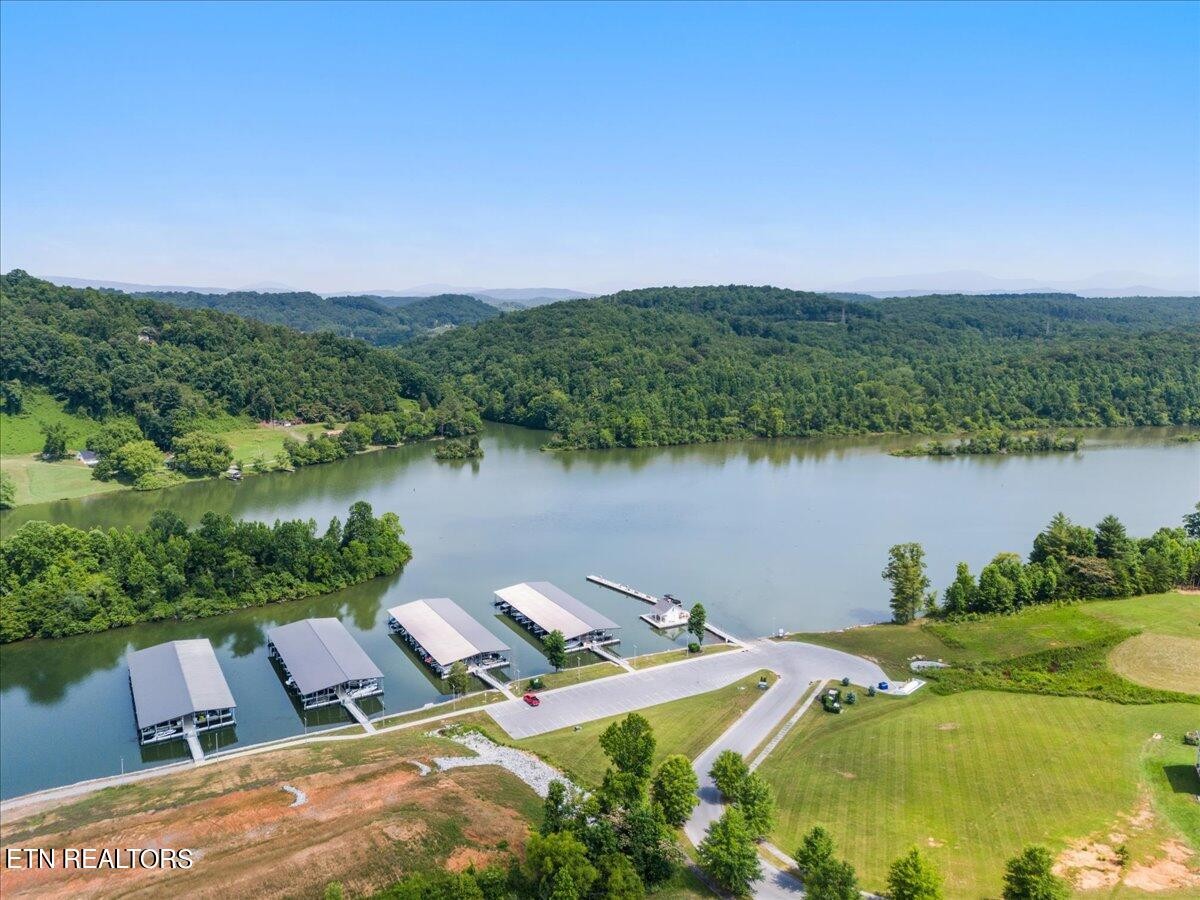 102 Pineberry West Road Oak Ridge, TN 37830 - Photo 51 of 60