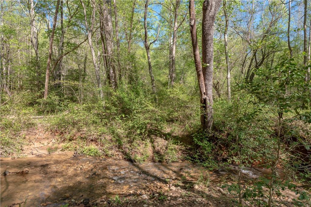 415 Vic Randall Road, Unit 43 Lawndale, NC 28090 - Photo 12 of 31 Gallery Image 12