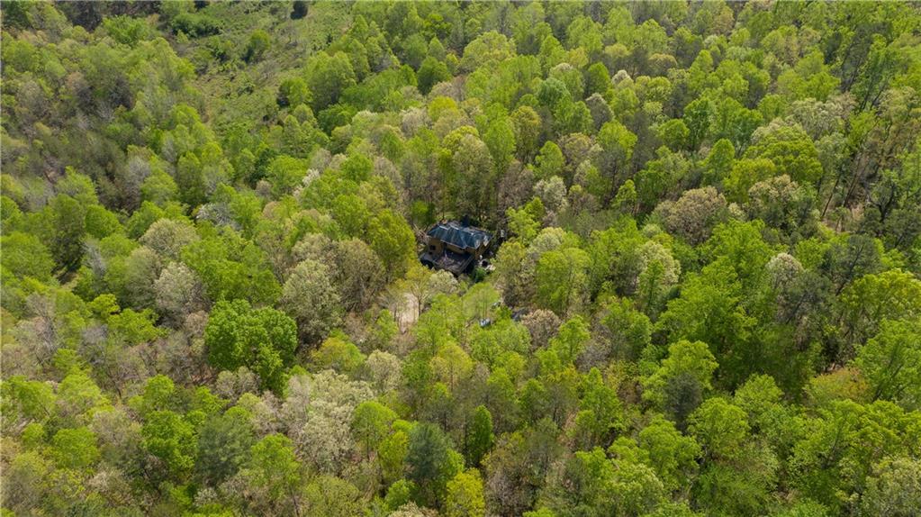 415 Vic Randall Road, Unit 43 Lawndale, NC 28090 - Photo 10 of 31 Gallery Image 10