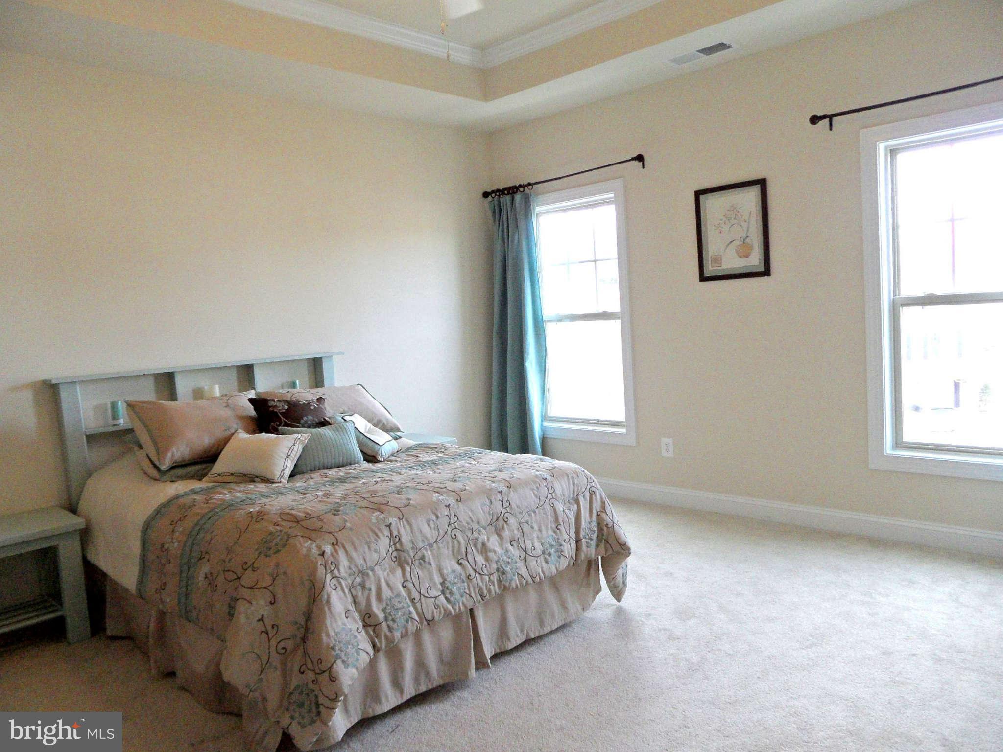 43352 Old Ryan Road Ashburn, VA 20148 - Photo 20 of 28 Bedroom (Master)