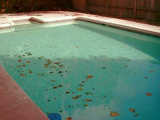 4117 Beard Drive Corpus Christi, TX 78413 - Photo 2 of 3 a view of a backyard of the house