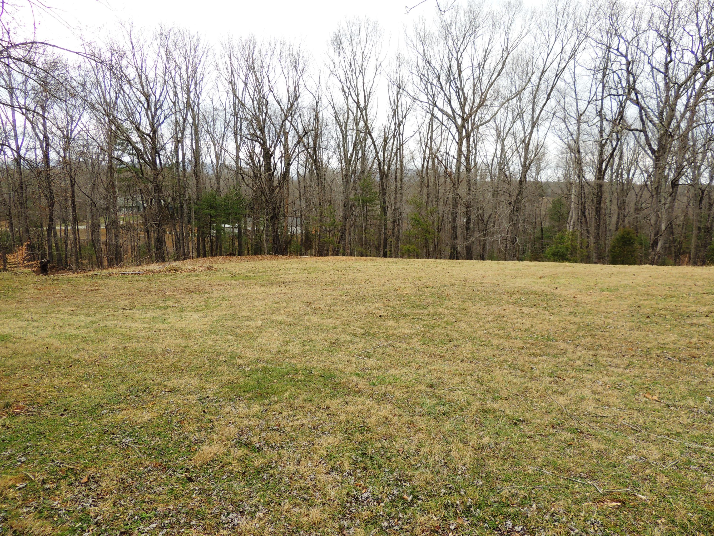 4474 Alean Road Boones Mill, VA 24065 - Photo 23 of 26 Back Yard
