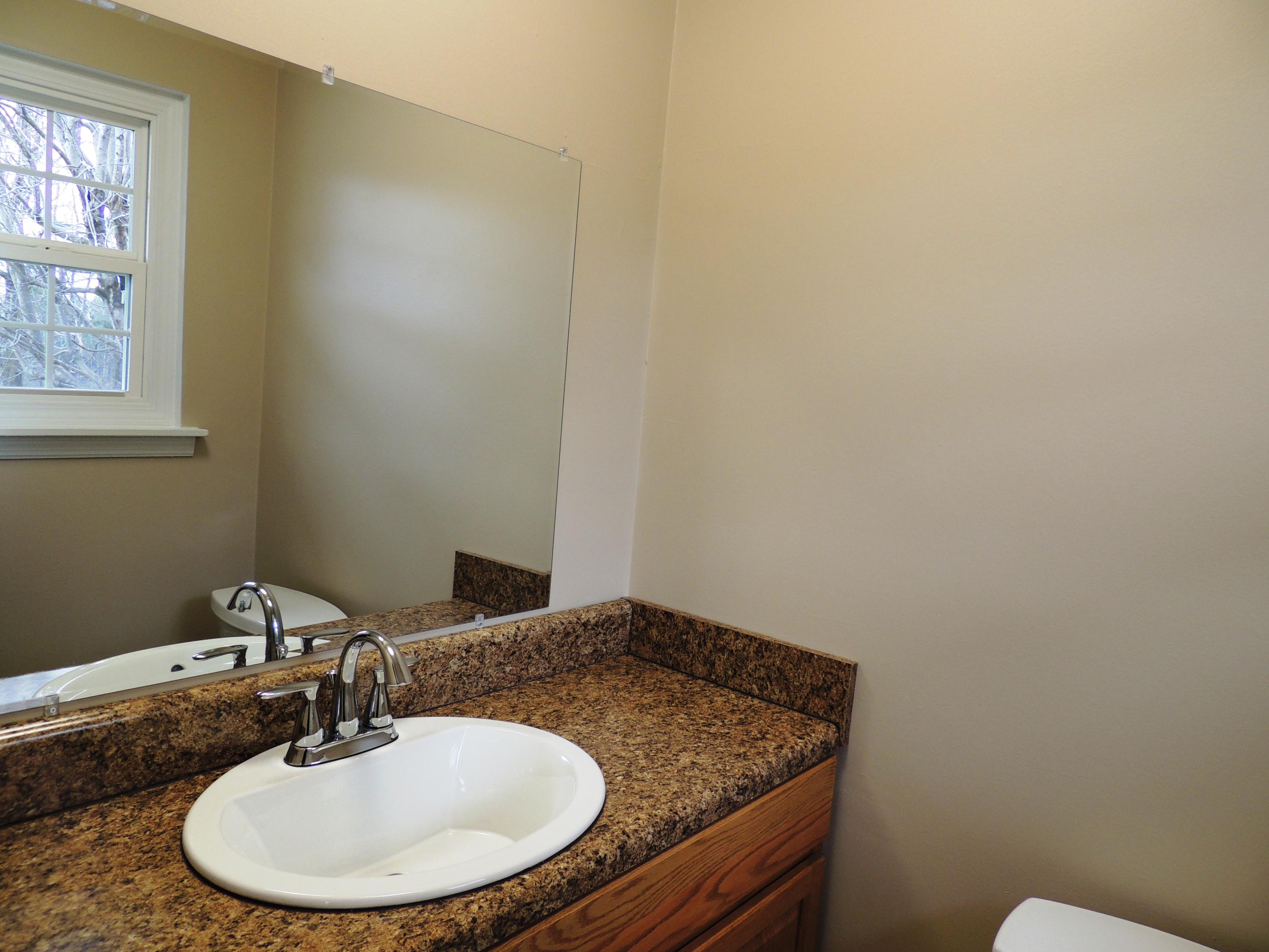 4474 Alean Road Boones Mill, VA 24065 - Photo 10 of 26 Master Bath