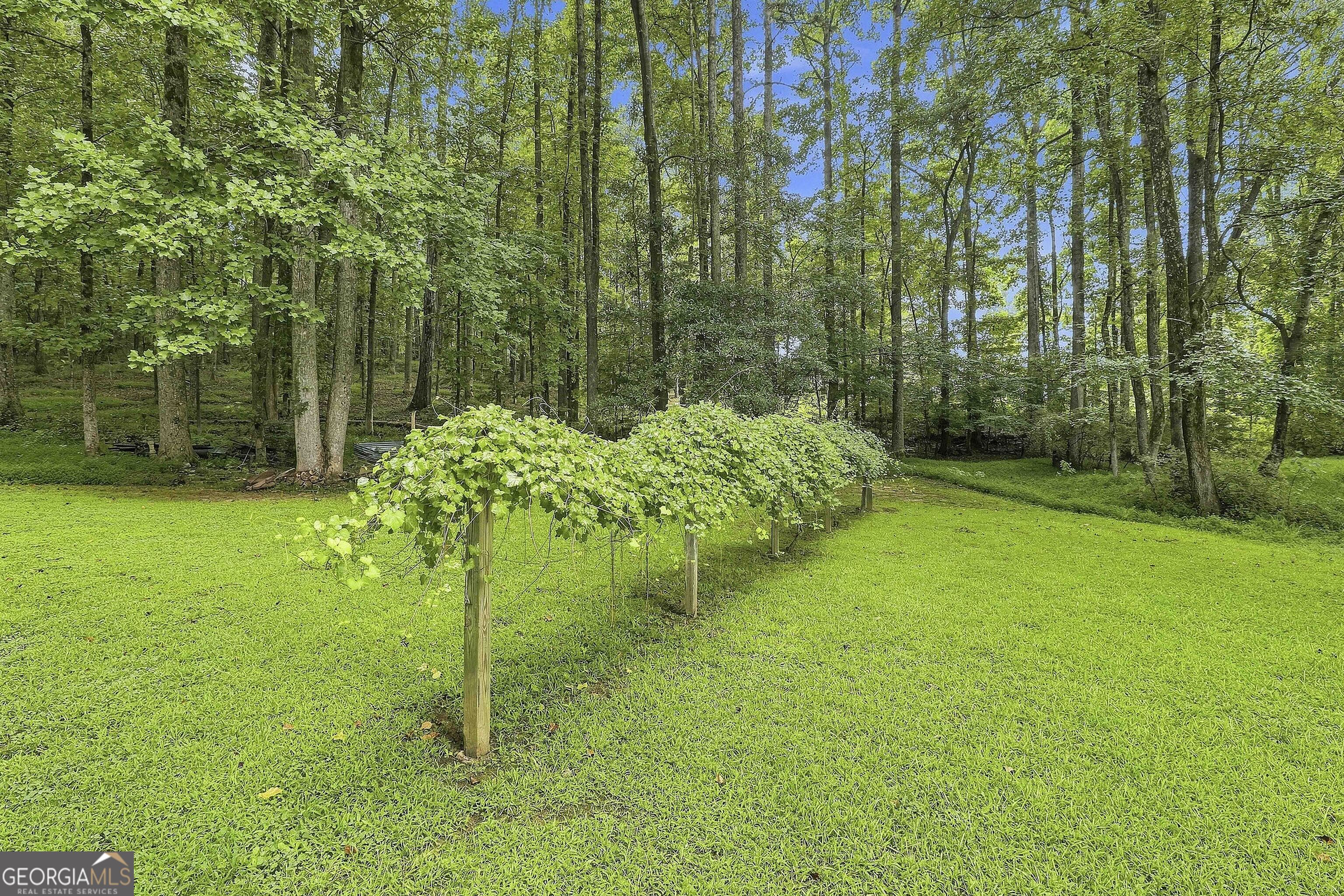 413 Lees Mill Road Fayetteville, GA 30214 - Photo 40 of 53 Gallery Image 40