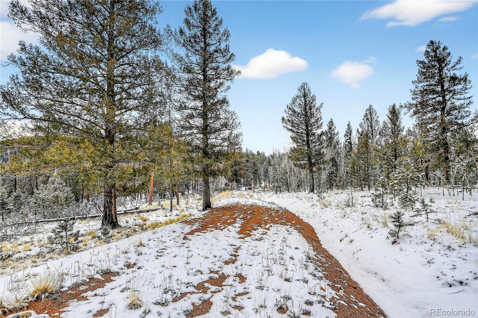 927 Forest Drive Bailey, CO 80421 - Photo 14 of 19 a view of snow on the road