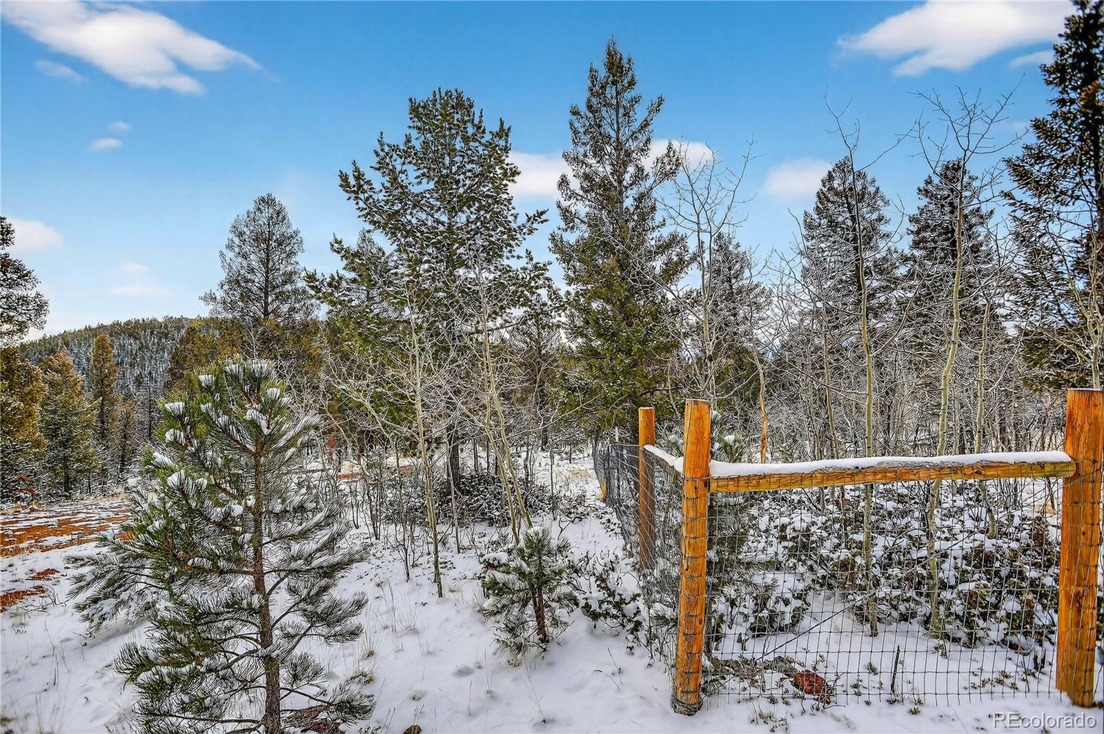 927 Forest Drive Bailey, CO 80421 - Photo 16 of 19