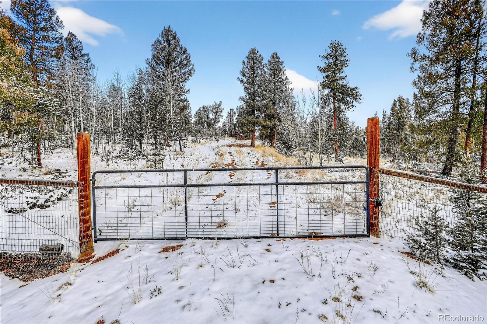 927 Forest Drive Bailey, CO 80421 - Photo 17 of 19 a view of a pathway gate