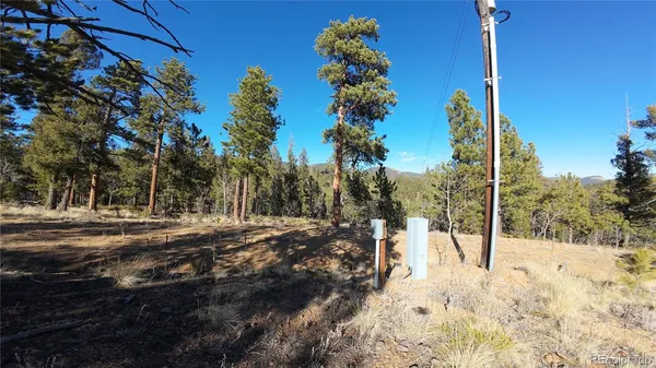 a view of a road with a tree