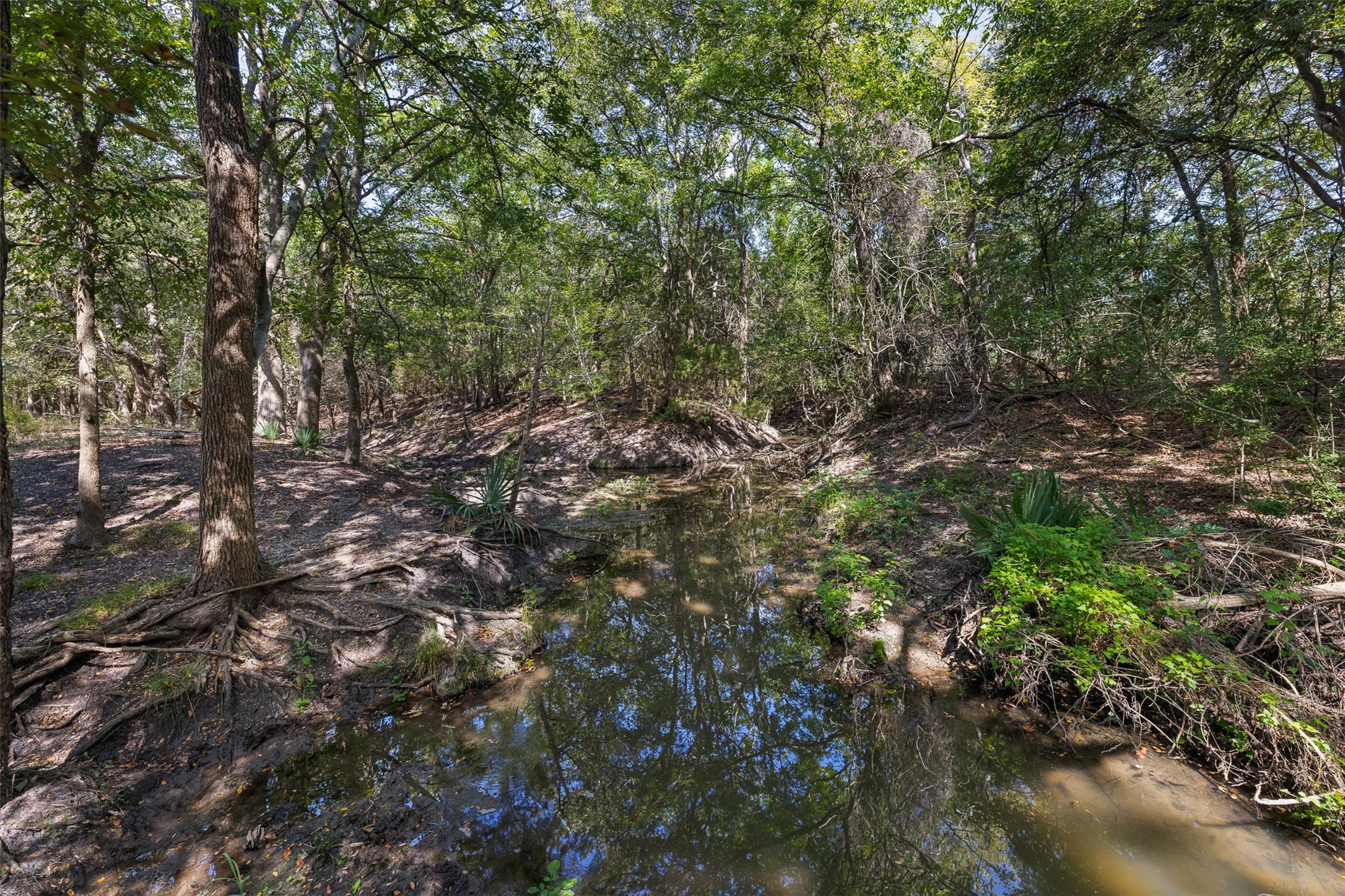 Tbd Roznov Road Round Top, TX 78954 - Photo 7 of 36 Gallery Image 7