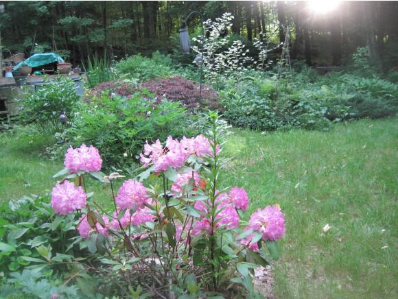 159 Joslin Road Surry, NH 03608 - Photo 29 of 34
