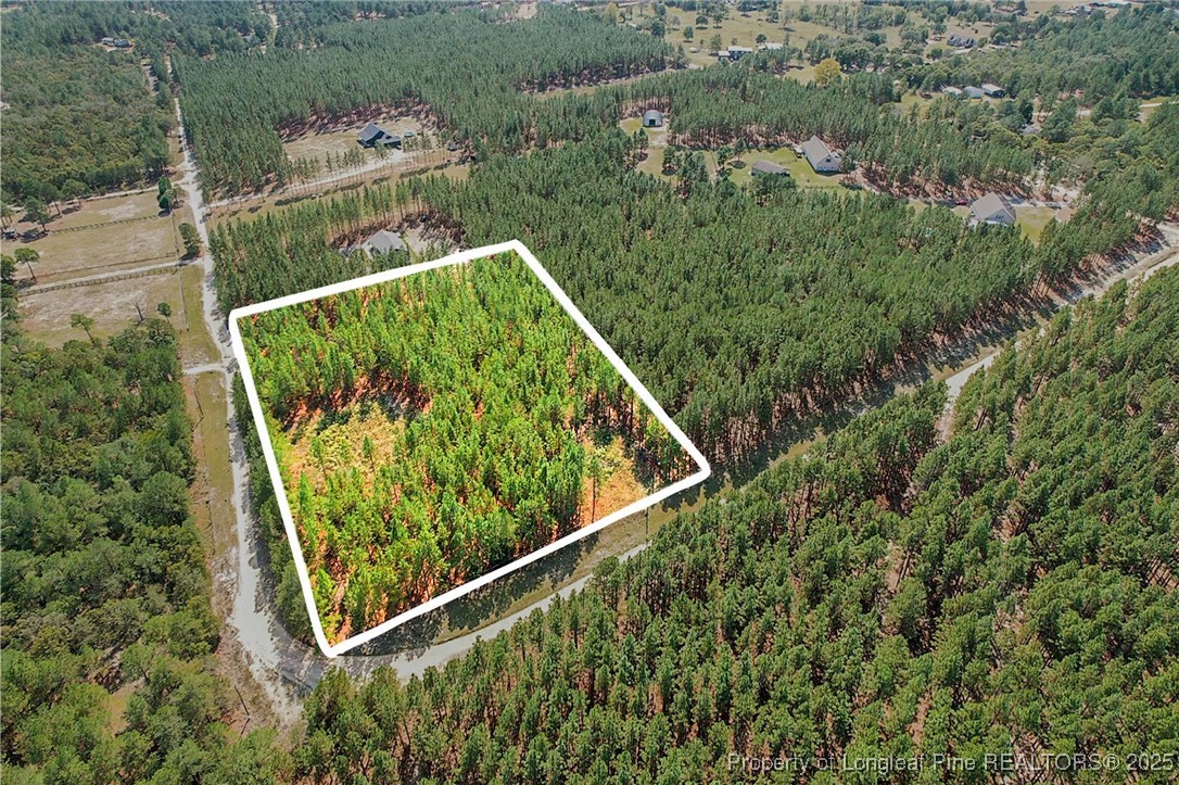 1017 Nighthawk Loop Aberdeen, NC 28315 - Photo 1 of 10