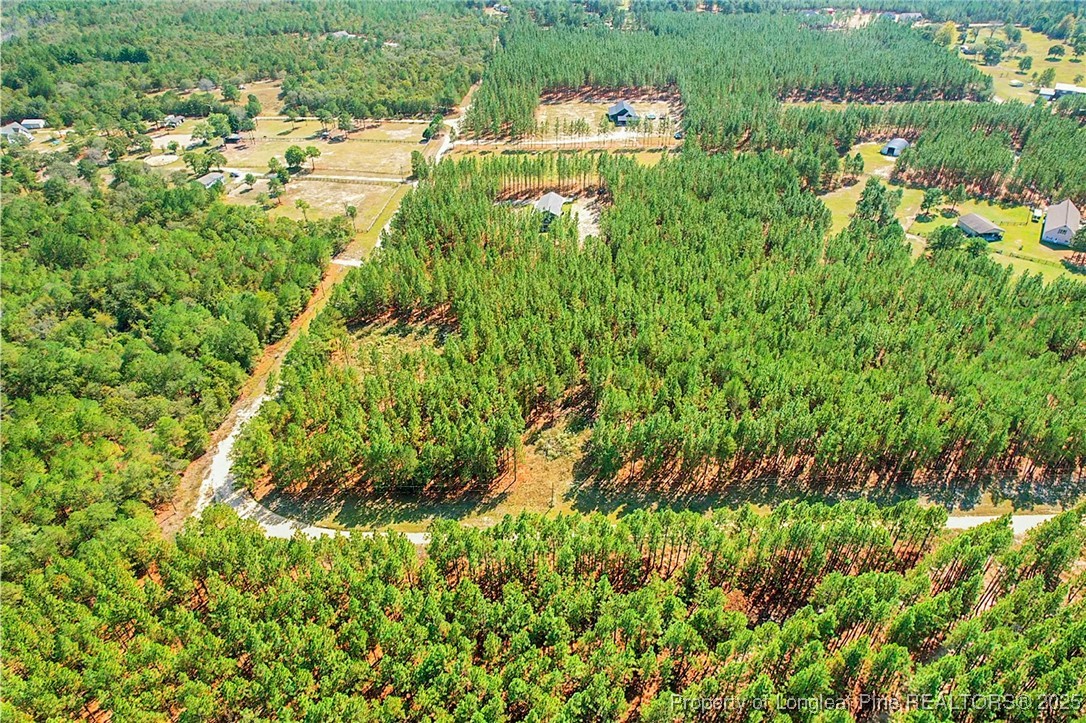 1017 Nighthawk Loop Aberdeen, NC 28315 - Photo 5 of 10