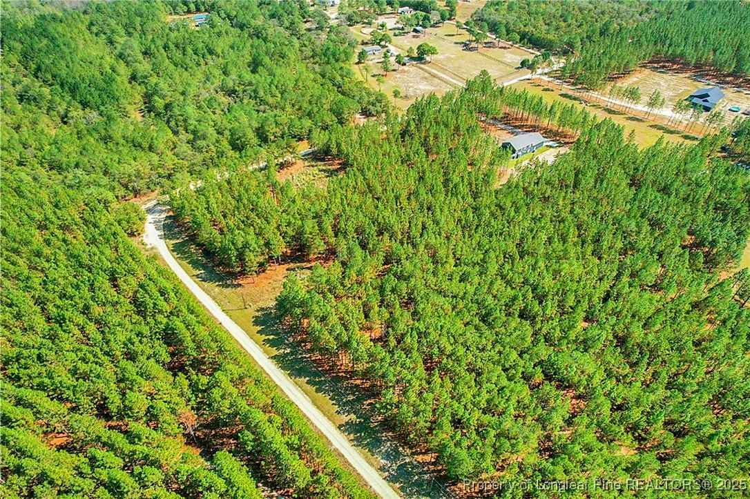 1017 Nighthawk Loop Aberdeen, NC 28315 - Photo 6 of 10