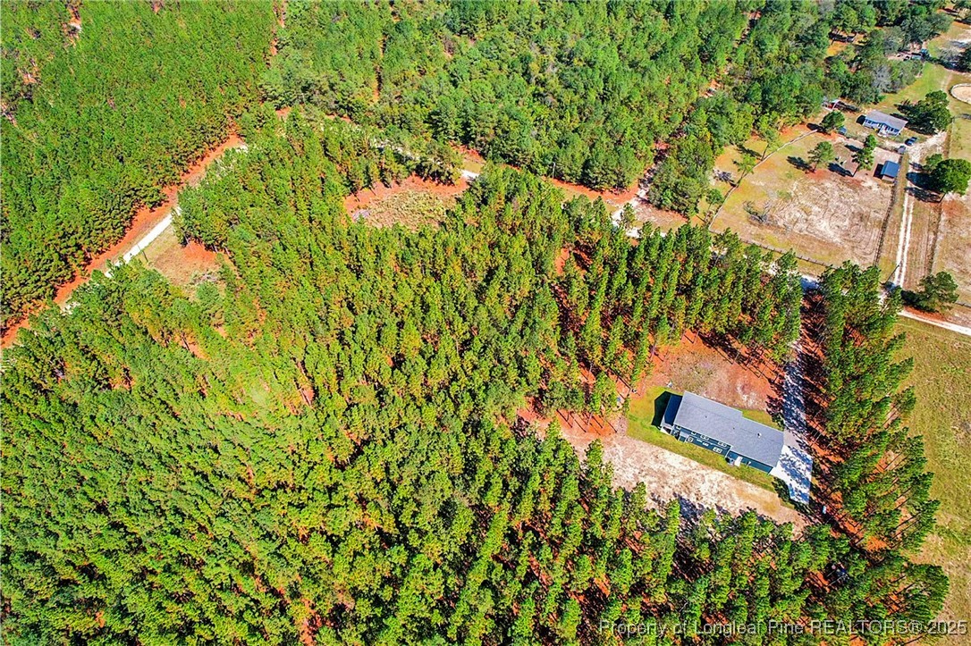 1017 Nighthawk Loop Aberdeen, NC 28315 - Photo 8 of 10