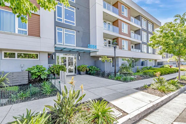 a view of a building with potted plants