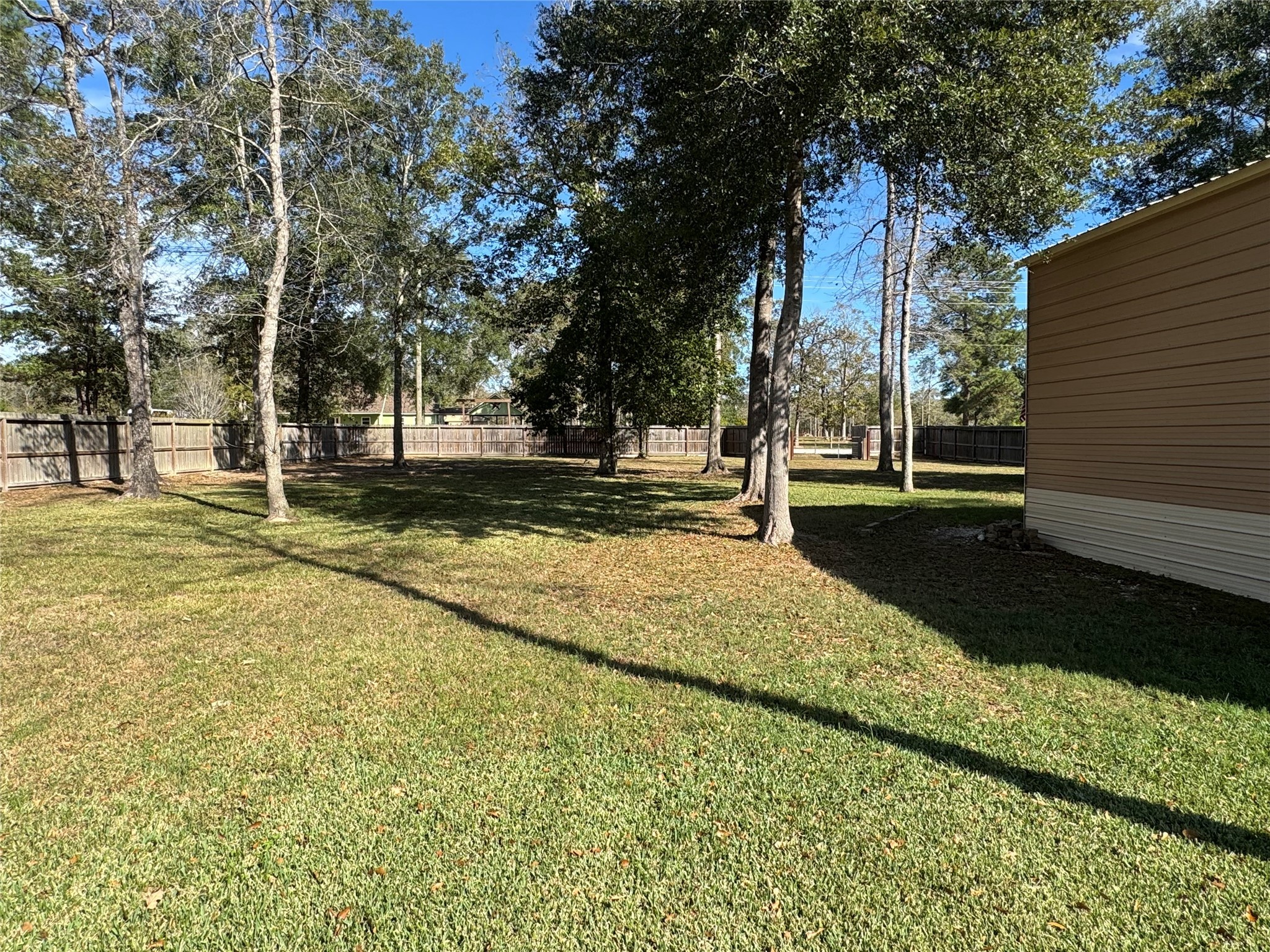 4507 Axis Trail Conroe, TX 77303 - Photo 3 of 34 a view of yard with tree