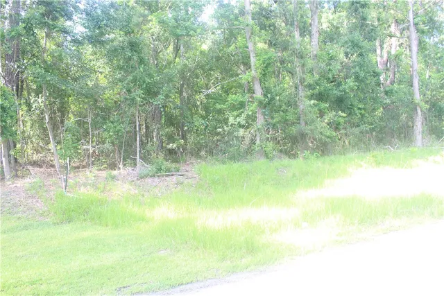 $43,000 | 2976 Ardoch Road Southwest, Townsend, GA 31331