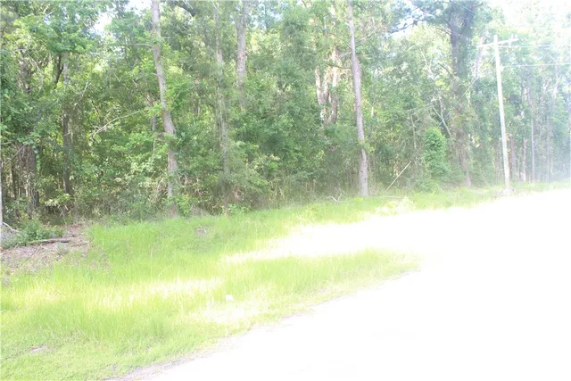 $43,000 | 2976 Ardoch Road Southwest, Townsend, GA 31331