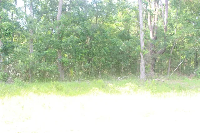 $43,000 | 2976 Ardoch Road Southwest, Townsend, GA 31331