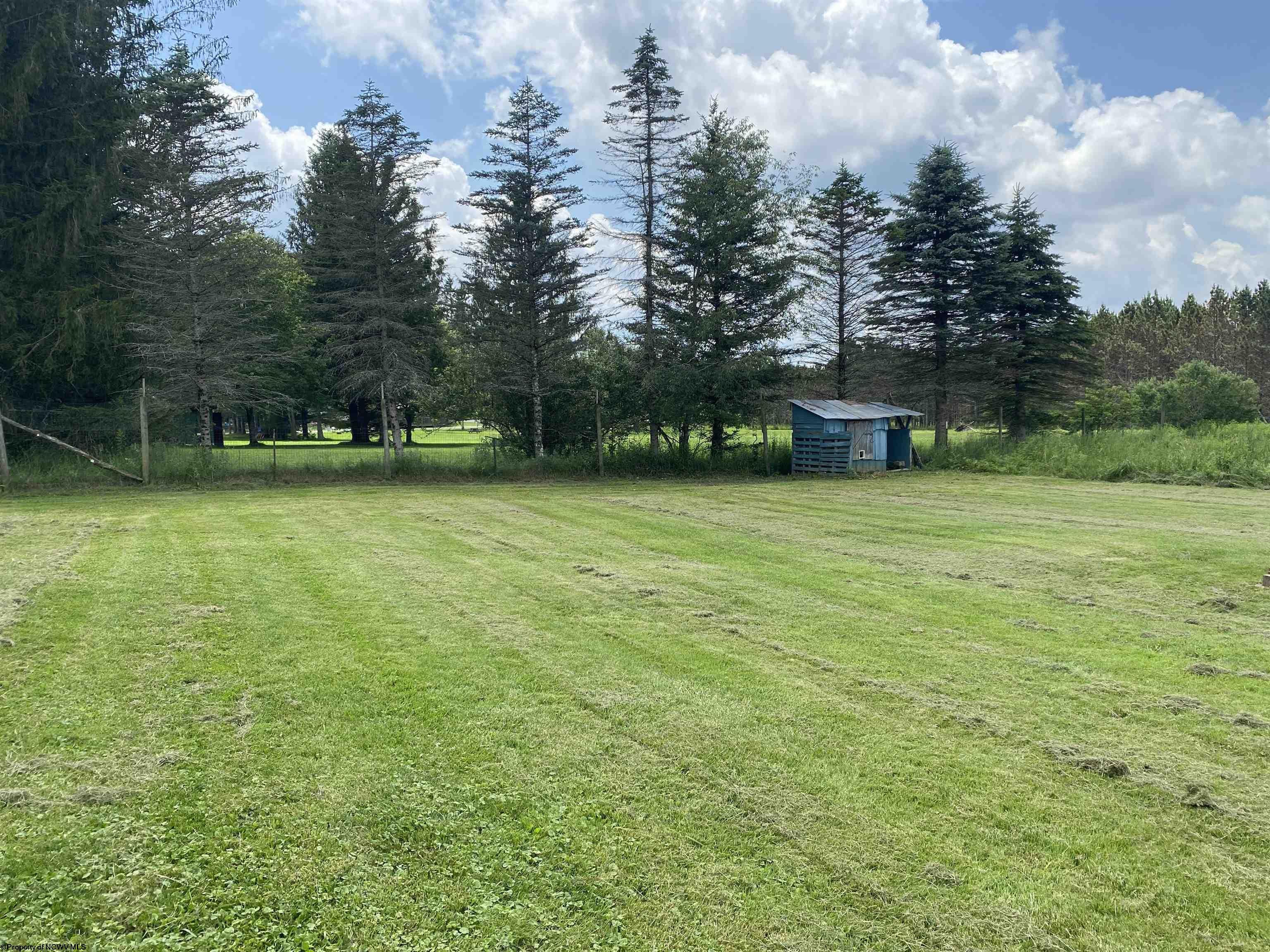 202 Pendleton Run Road Davis, WV 26260 - Photo 24 of 24 Gallery Image 24