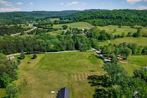 a view of a green yard with large trees