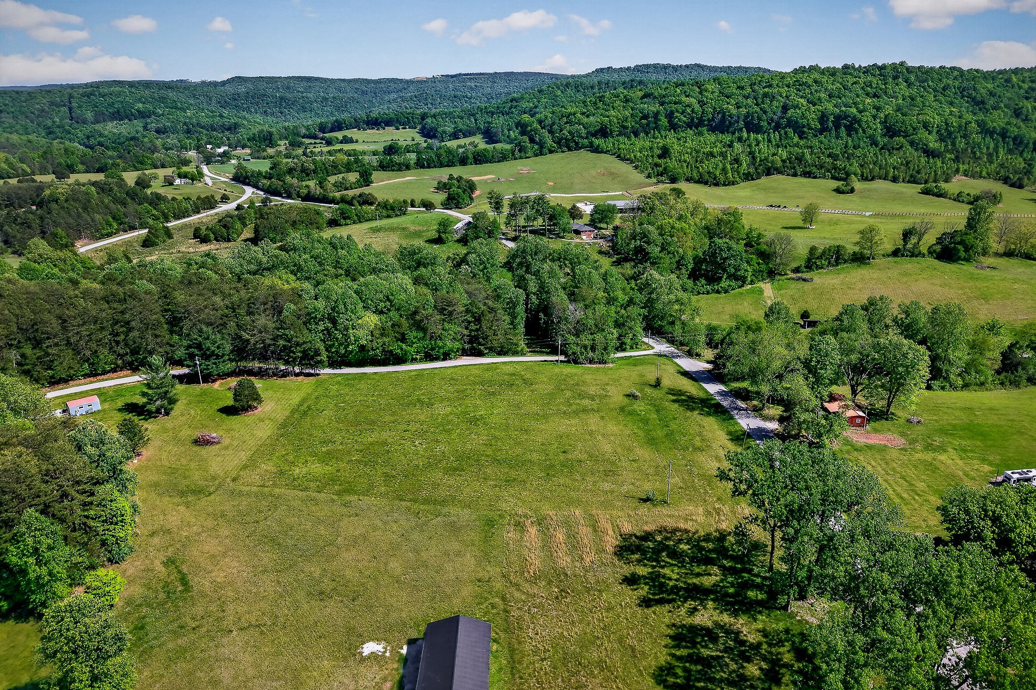 0 Sparkman Town Road Doyle, TN 38559 - Photo 6 of 11 a view of a green yard with large trees