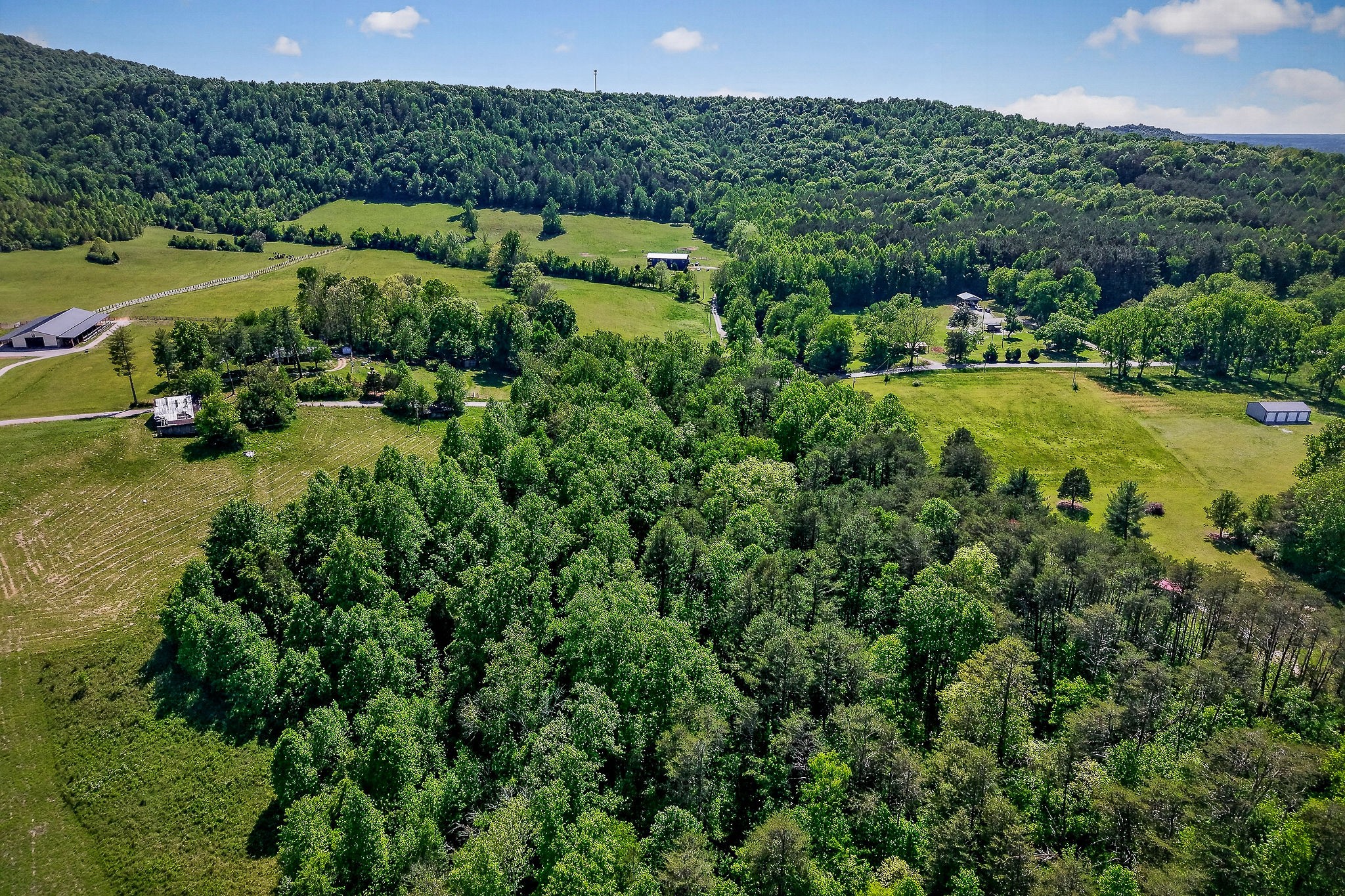 0 Sparkman Town Road Doyle, TN 38559 - Photo 7 of 11