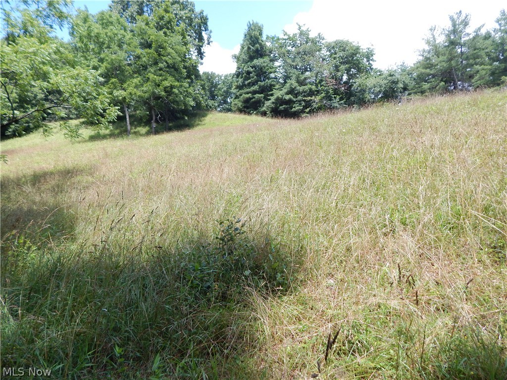 300 Old Dairy Road Cairo, WV 26337 - Photo 34 of 35