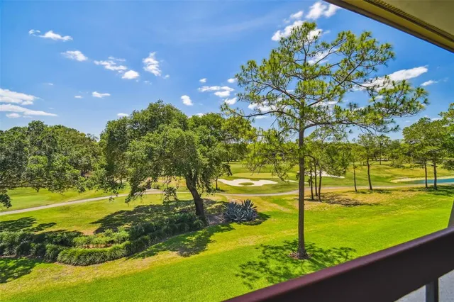 a view of a chairs and table in the patio