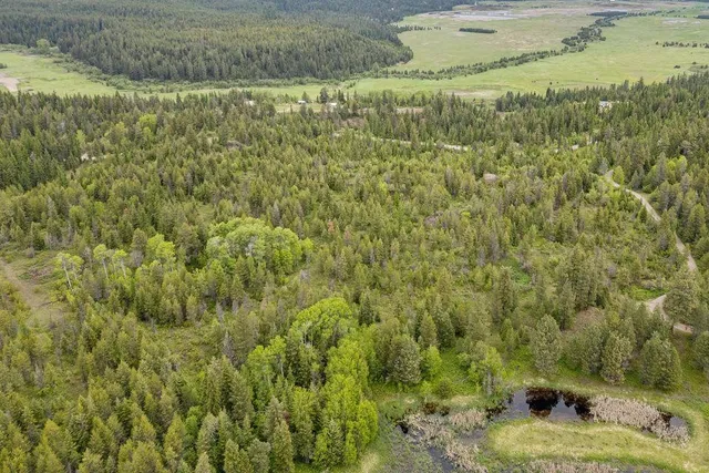 $89,500 | 0 Hesseltine Road, Valley, WA 99181