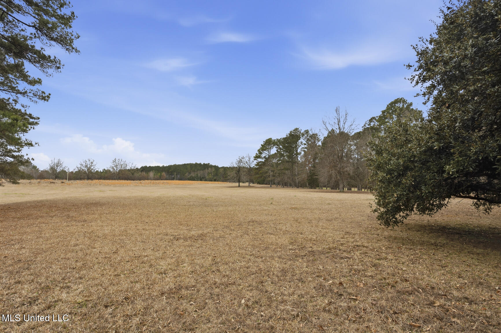 288 Morgan Road Canton, MS 39046 - Photo 57 of 71 288 Morgan Rd-49