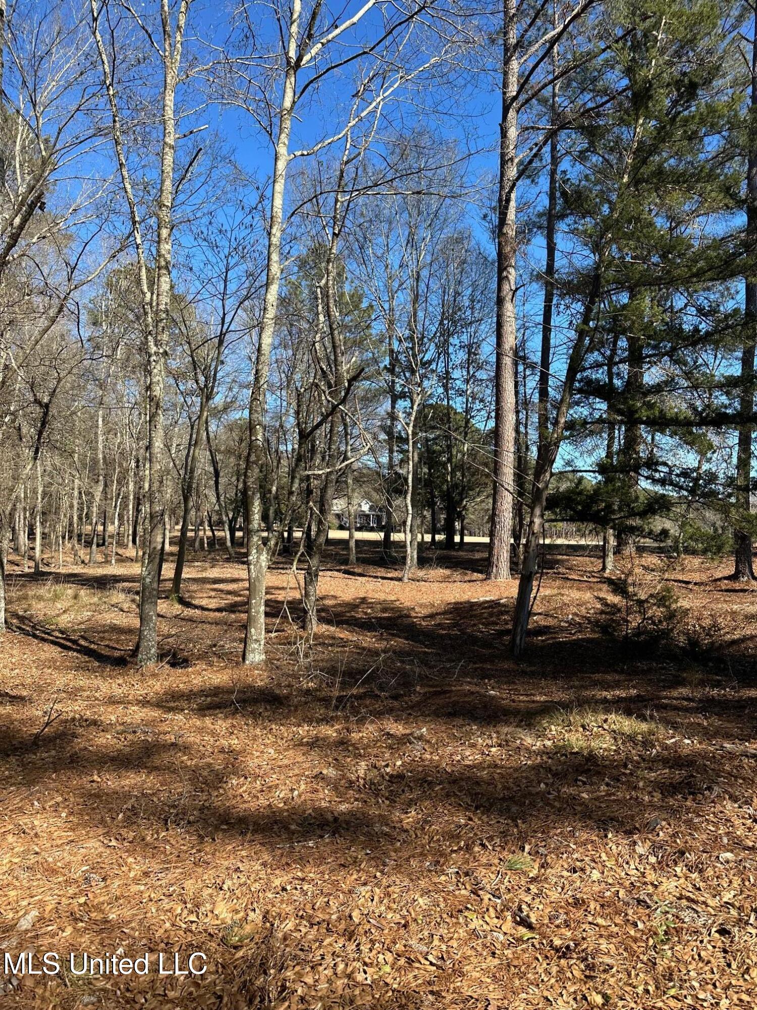 288 Morgan Road Canton, MS 39046 - Photo 68 of 71 IMG_6963