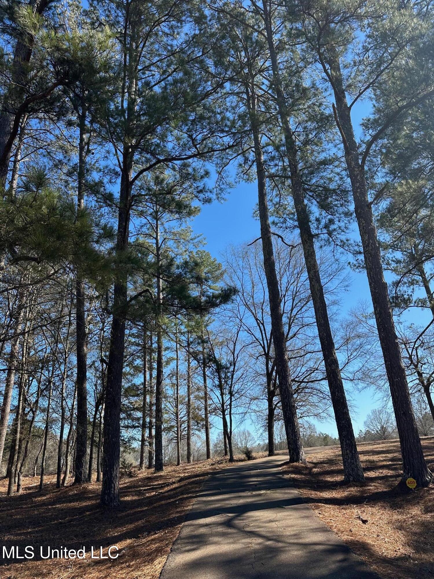 288 Morgan Road Canton, MS 39046 - Photo 70 of 71 IMG_6962