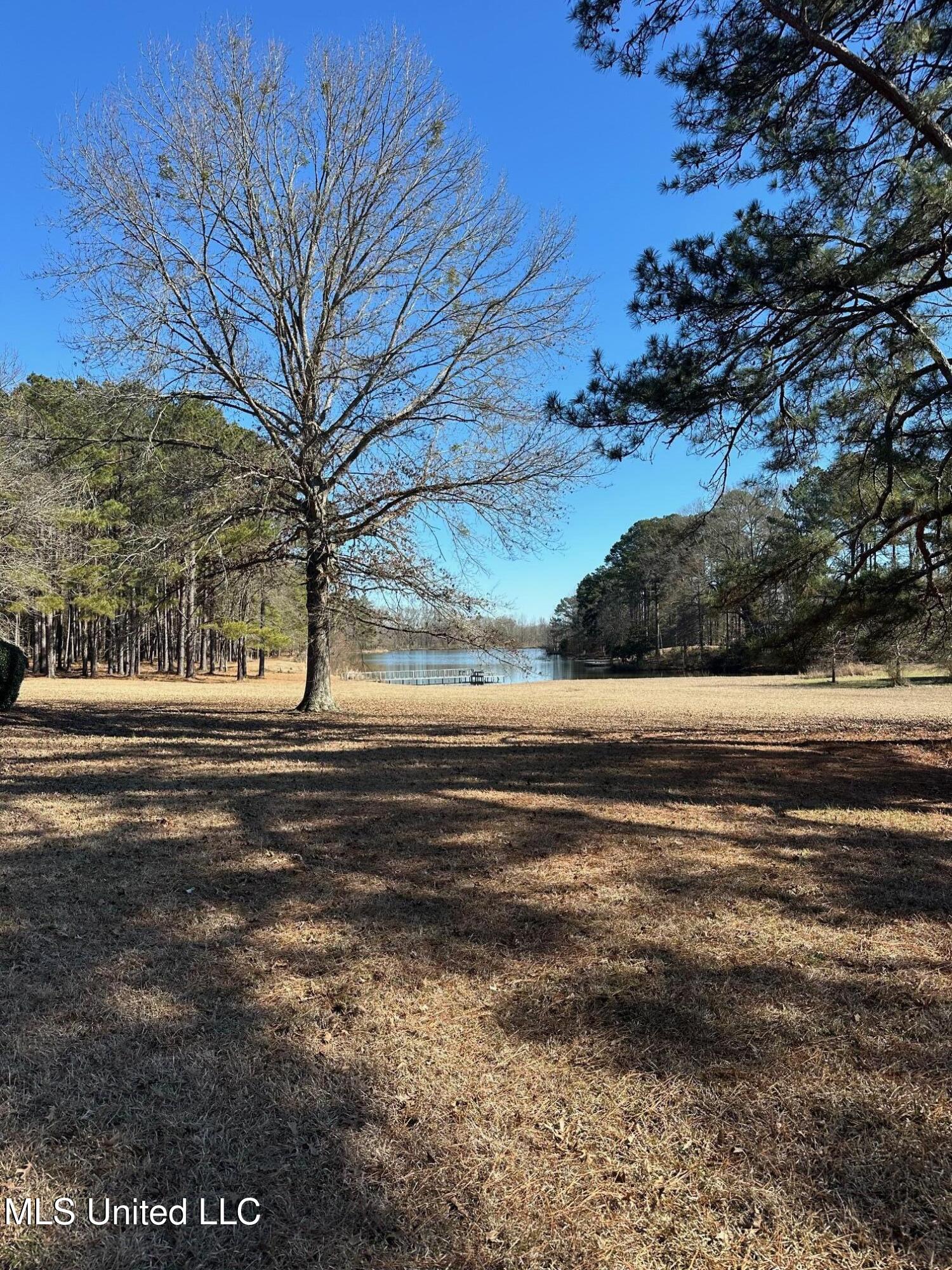 288 Morgan Road Canton, MS 39046 - Photo 71 of 71 IMG_6967