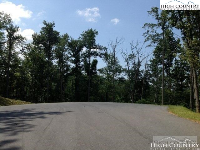 Lot 21 Boulder Cay Road Boone, NC 28607 - Photo 17 of 20 a view of a street