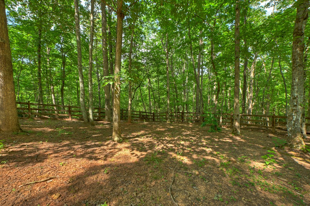 21 Trails End Lane Morganton, GA 30560 - Photo 32 of 32