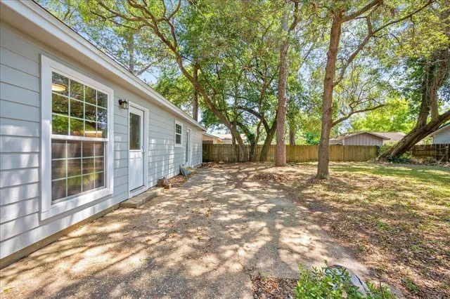 a view of a backyard with a large tree