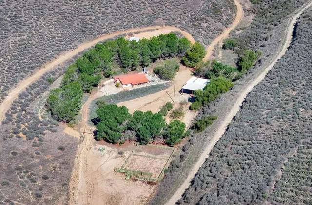 a view of a garden with pathway