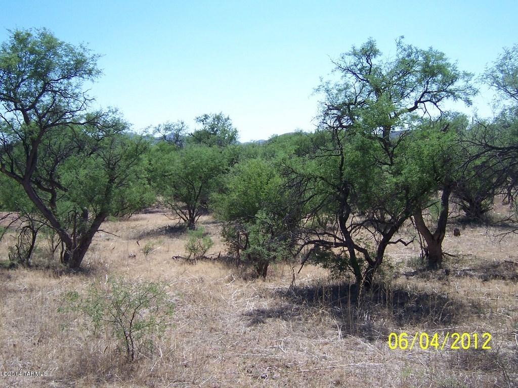 15770 West Universal Ranch Road Arivaca, AZ 85601 - Photo 31 of 32