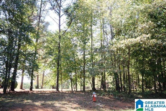 0 County Road 928, Unit 19 Delta, AL 36258 - Photo 31 of 43