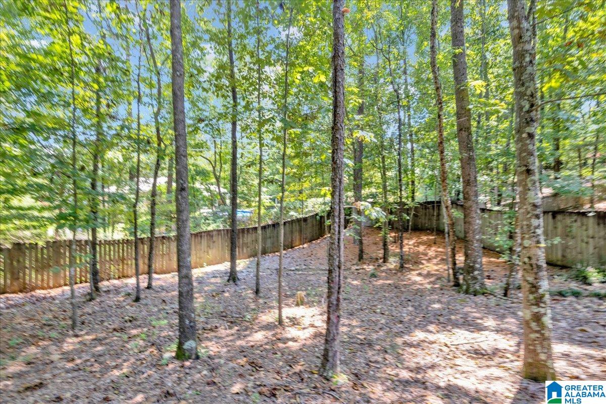 708 Meadow Ridge Court Birmingham, AL 35242 - Photo 59 of 65