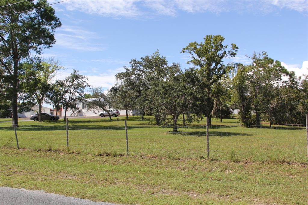 13127 Star Road Brooksville, FL 34613 - Photo 35 of 54 a view of a yard with a tree