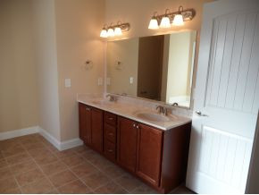 272 Springwinds Loop Johnson City, TN 37601 - Photo 12 of 24 Master Double Vanity