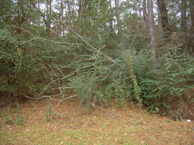 0 Nancy Road Mandeville, LA 70471 - Photo 7 of 8 Gallery Image 7