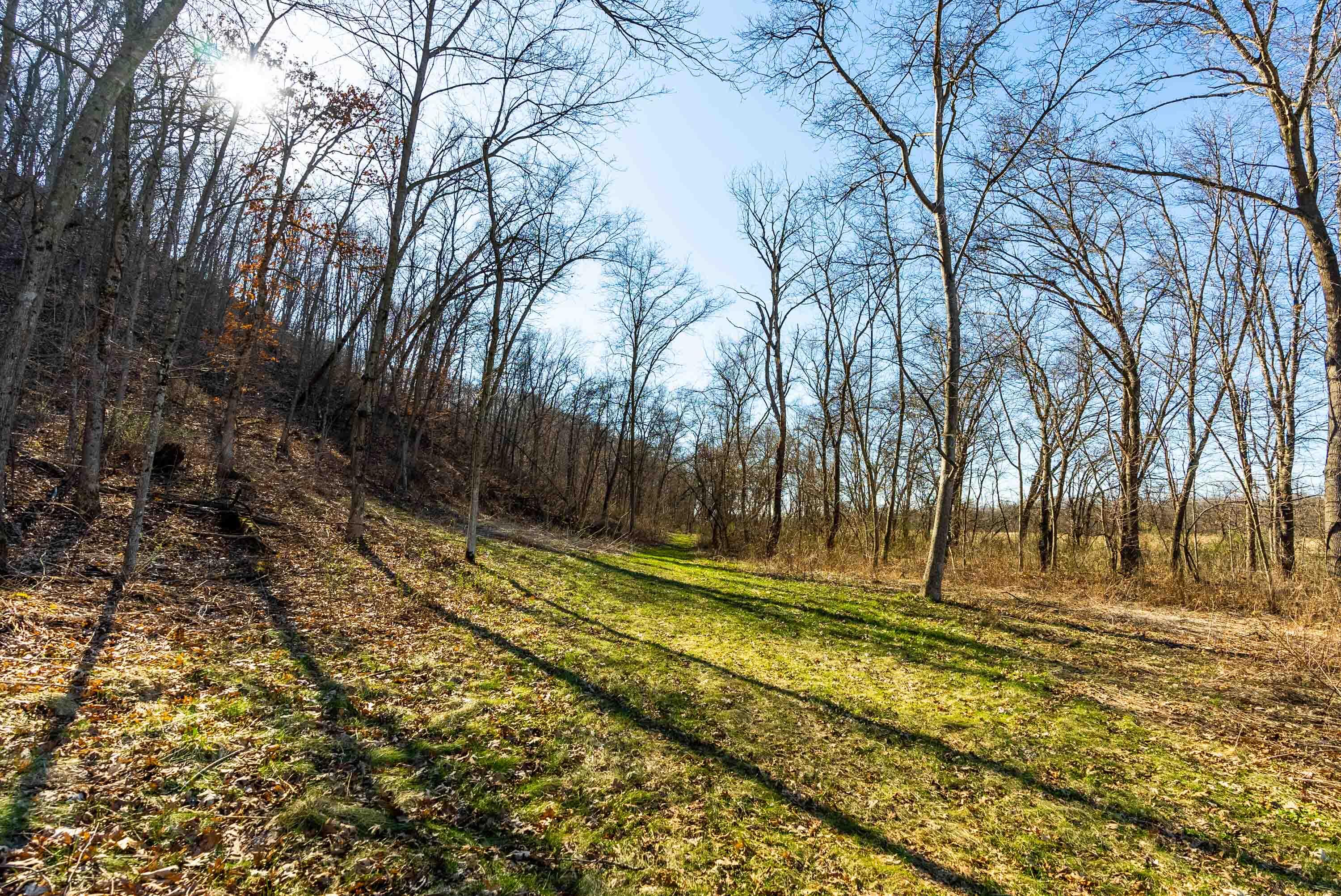 Lt0 Lt0 County Road Spring Green, WI 53588 - Photo 12 of 68 Iowa-County-WI-40-Acres-Land-For-Sale-12